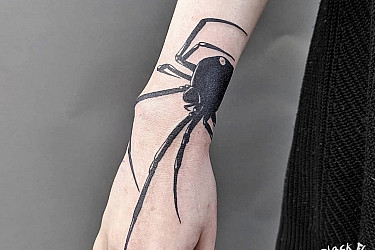 spider