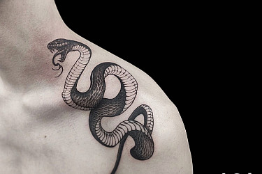 snake