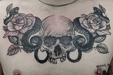 skull
