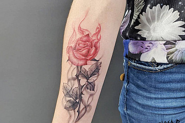 rose