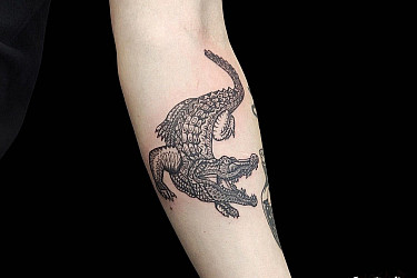 croco