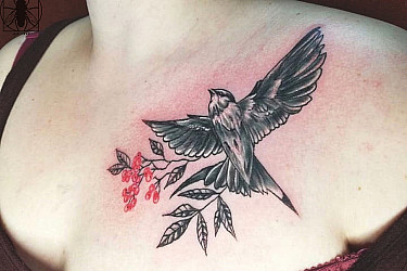 bird (1)