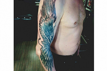 fly (1)