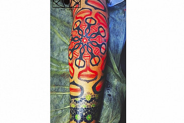 leg (2)