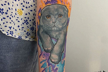 cat