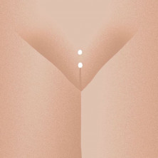 Интимный пирсинг вагин (30 фото)