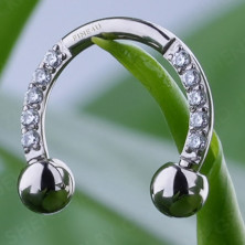 Циркуляр 10 фианитов из титана