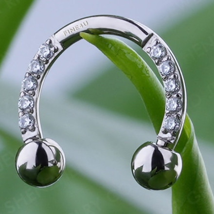 Циркуляр 10 фианитов из титана  