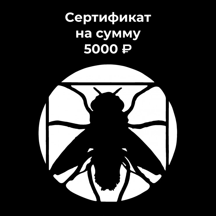 Сертификат 5000 ₽  