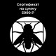 Сертификат 5000 ₽  